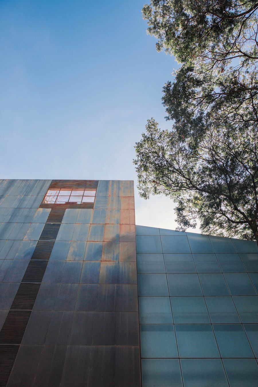 gisele_borges_praça_da_ciencia_site_05