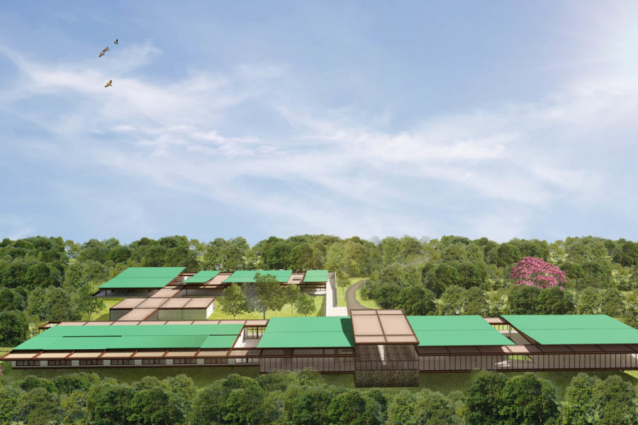 gisele-borges-arquitetura-cetras-04