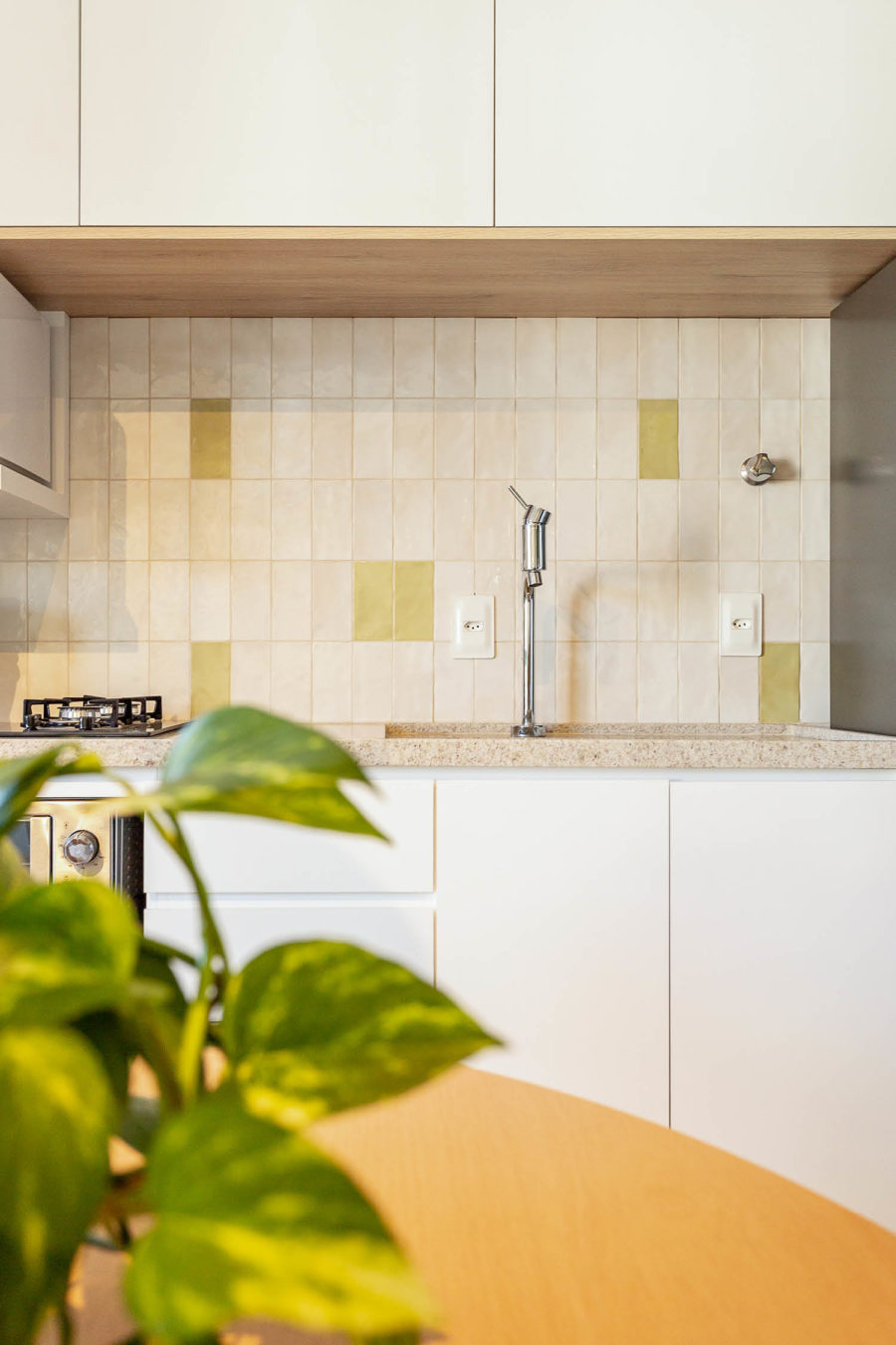 gisele-borges-arquitetura-interiores-apartamento-champagnat-06